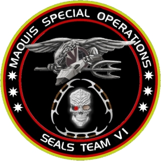 Us Navy Seal Team 6 Patch